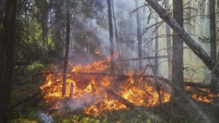 Уже 4 вертолета привлекли для тушения пожара в резервате «Семей орманы»