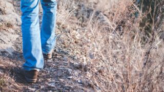 В Абайской области нашли подростка при помощи 70 полицейских и военного гарнизона