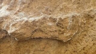 В Африке нашли самые старые следы человека