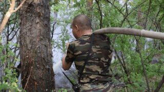 В Акмолинской области произошел перешедший на лесной массив пожар