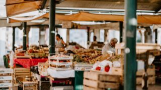 Мясо, молоко и овощи без посредников: астанчане смогут купить хорошие продукты подешевле