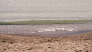 В Баянауле начался официальный курортный сезон