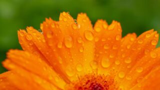 В Казахстане ожидаются шквалы, град и бури