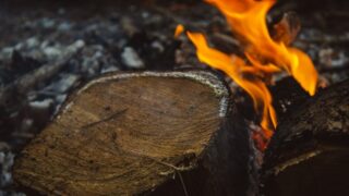 В нацпарке Катон-Карагай в ВКО произошел пожар