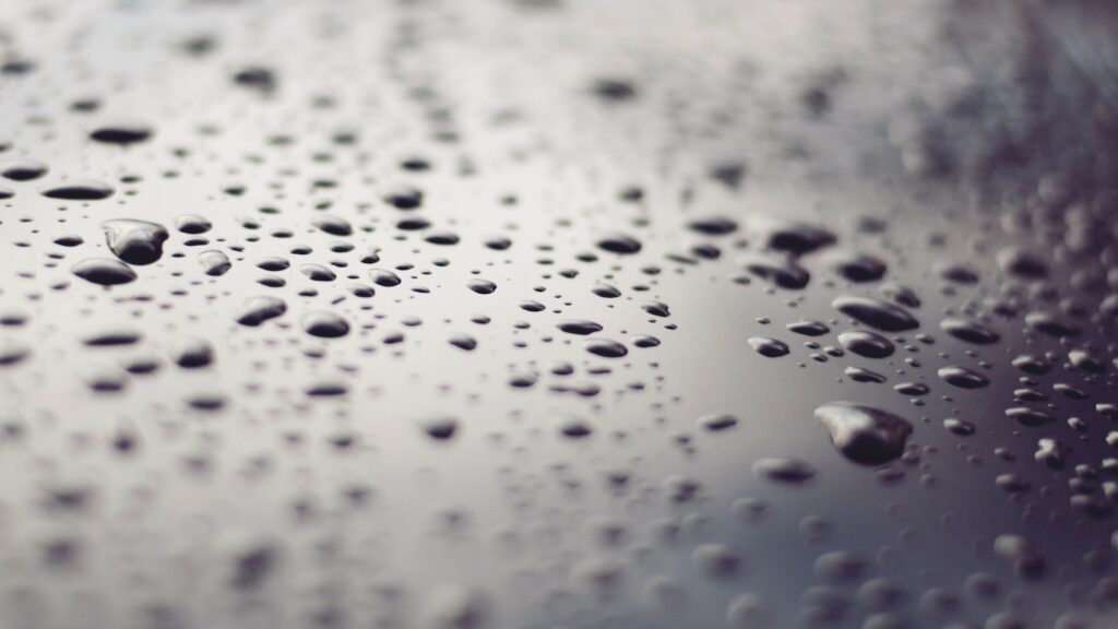 Фото: Unsplash