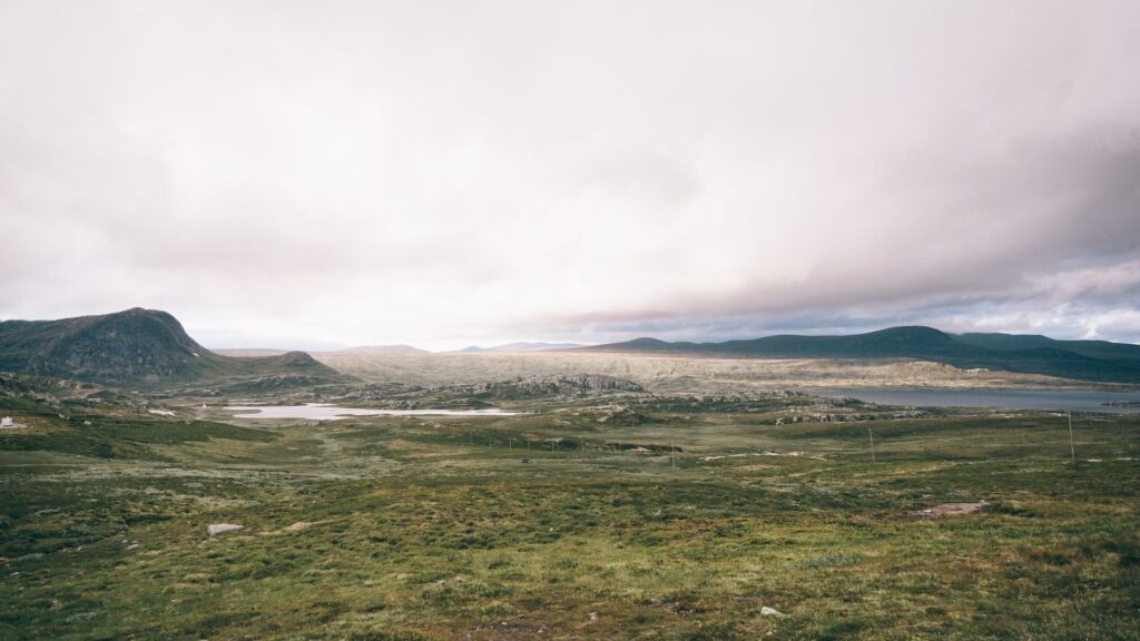 Фото: Unsplash