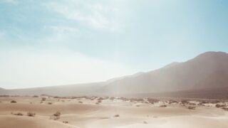 В течение 40 дней по всему миру прогнозируется адская жара