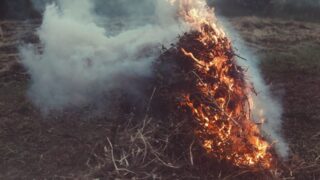 В Восточно-Казахстанской области локализовали пожар в горных районах