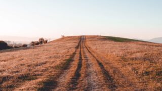 Важна поддержка депутатов маслихатов в решении земельных вопросов — глава МСХ