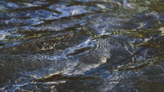 Защита Иртыша от ртутного загрязнения на 250 лет обеспечена новой «стеной в грунте»