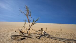 Жара ожидается в Казахстане в июле