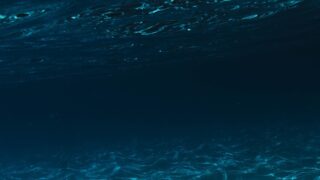 10-летний ребенок утонул в фонтане в Шымкенте