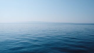 56% океанов Земли меняют цвет из-за человеческой деятельности