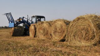 Актуализация нормативной базы по выделению земельных натурных грантов в РК