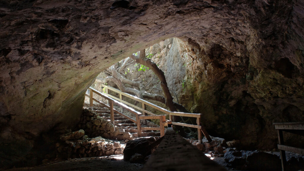 Фото: Wikimedia Commons