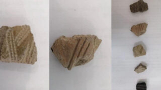 Археологи обнаружили поселение эпохи бронзы в СКО