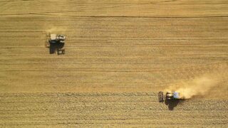 Более 25% посевных площадей в Казахстане находятся в плохом состоянии