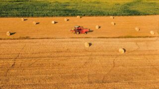 Цены на пшеницу в Чикаго продолжают снижаться
