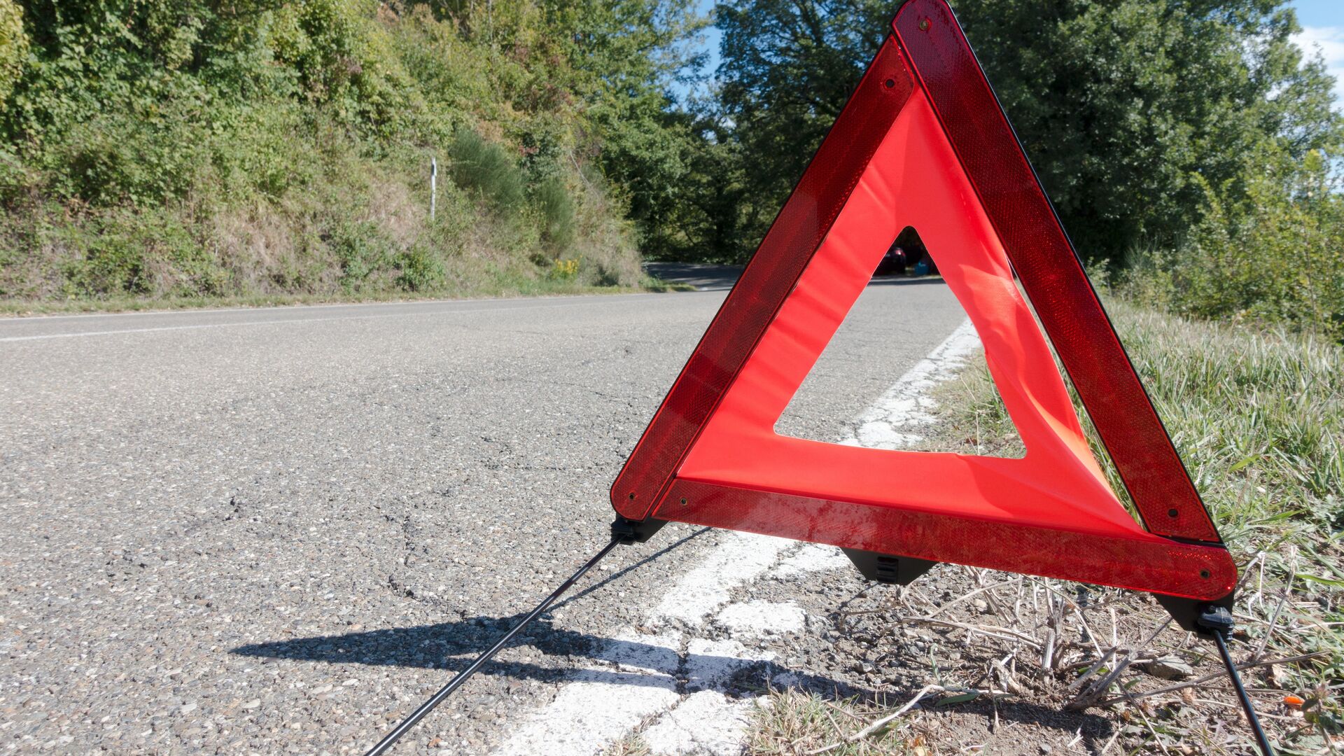 Двое пострадавших в столкновении авто и верблюда госпитализированы в Актау