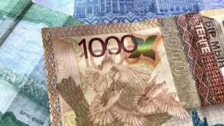 Фермеры получили 133,6 млрд тенге в виде субсидий