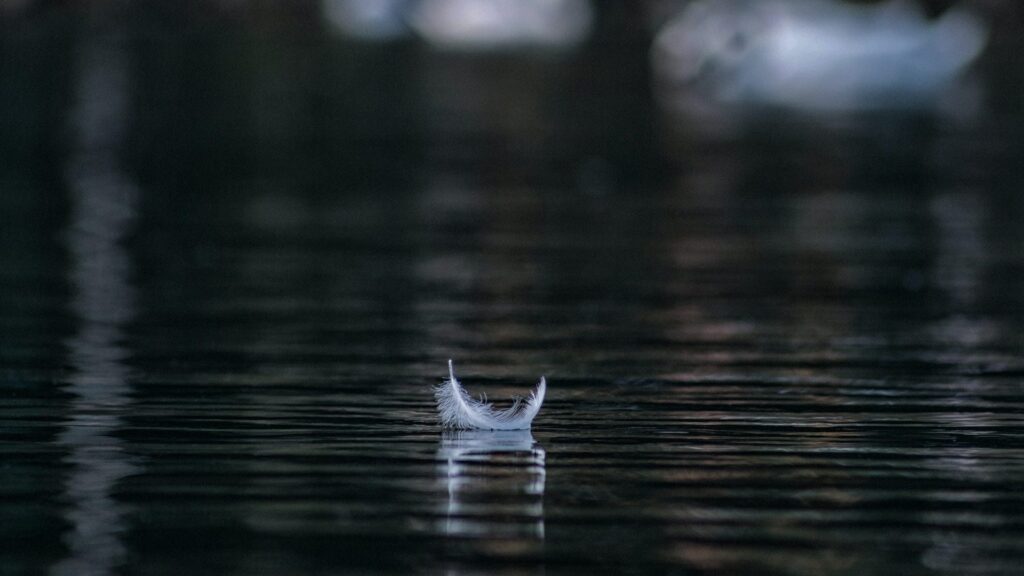 Фото: Unsplash