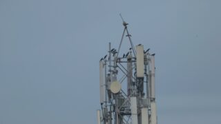 Из-за чего 25 июля произошел сбой в работе Kcell, объяснил министр Мусин