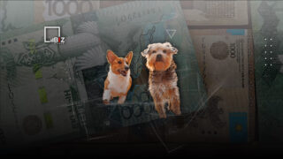 Какой штраф положен казахстанцам за нечипированных домашних животных