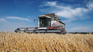 Кредиты сельскому хозяйству Казахстана выросли на 7 млрд тенге в июне — Нацбанк