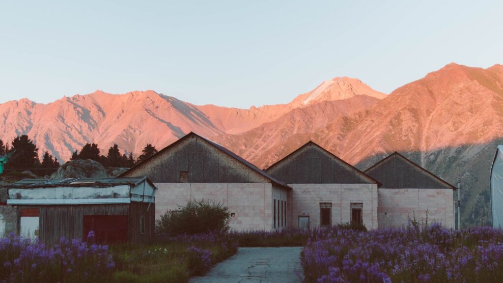 Фото: Unsplash