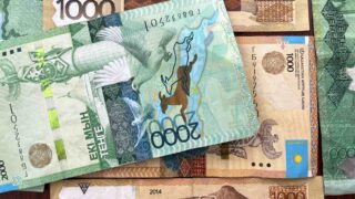 О программах кредитования в сфере агробизнеса рассказали в Алматы