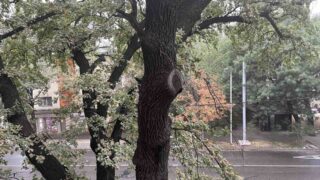 По прогнозу, 28 июля 2023 года в Казахстане на большей части территории пройдут дожди с грозами