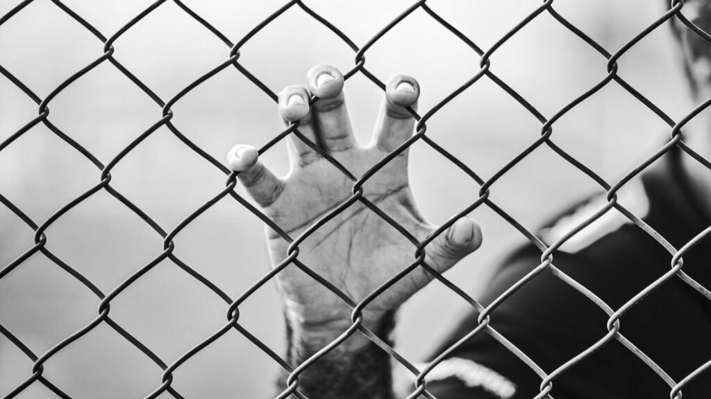 Фото: Milad Fakurian / Unsplash
