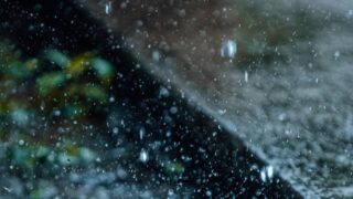 Почему не стоит пить дождевую воду: разъяснение от эксперта