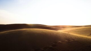 Последняя неделя стала самой жаркой на планете за последние 120 тыс. лет