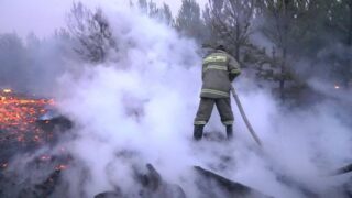 Пожар в «Ертiс орманы», угрожавший переходом на территорию России, локализовали