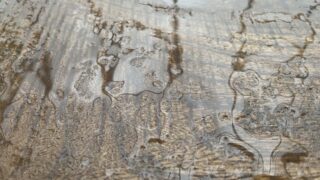 Какая погода ждёт РК в воскресенье, 22 июля 2023 года — дождь и кое-что еще