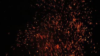 Произошел пожар на территории Иле-Балхашского резервата