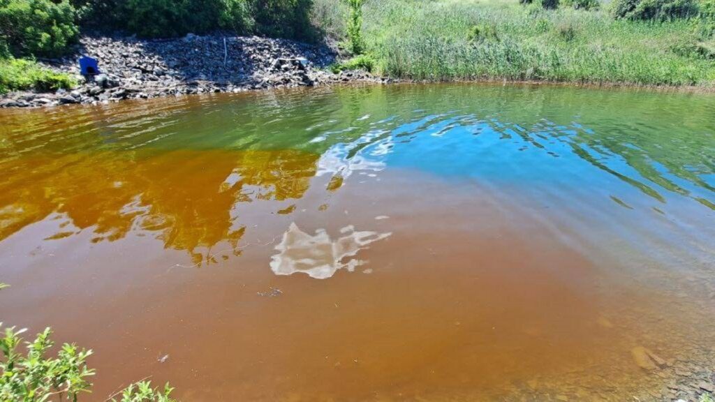 Фото: yk-news.kz/предоставлено очевидцем.