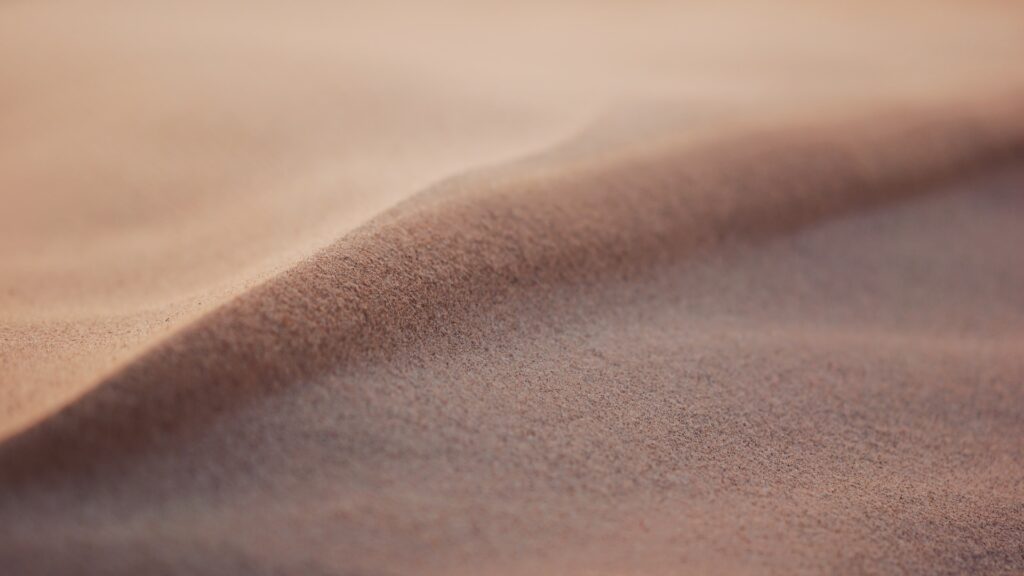 Фото: Unsplash