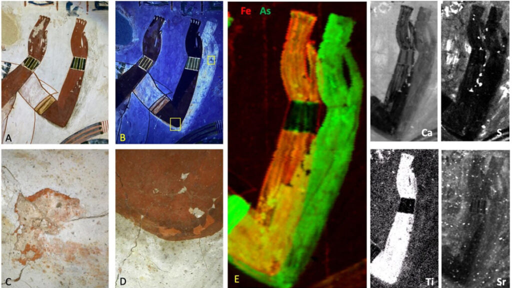 Фото: Martinez et al./PLOS ONE