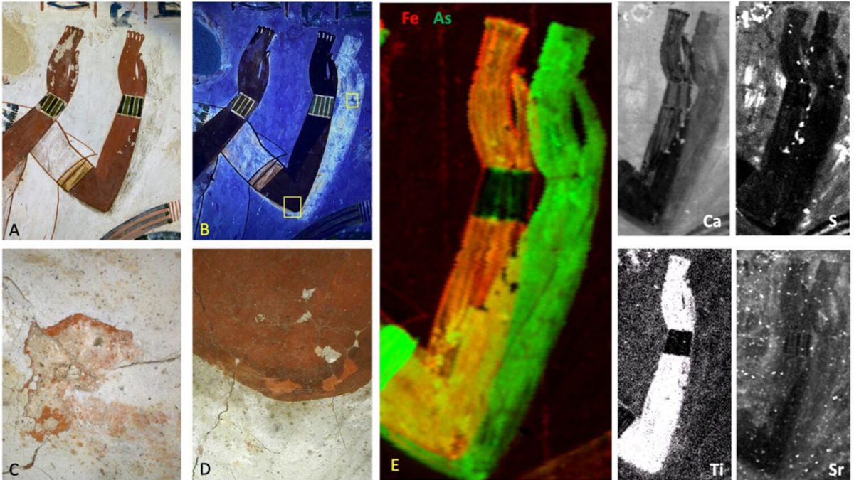 Фото: Martinez et al./PLOS ONE
