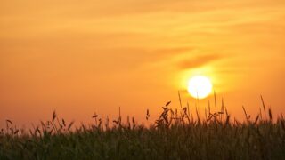 Согласно прогнозу, в понедельник в РК ожидается повышение температуры воздуха до 43 градусов