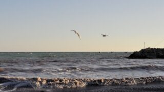 Спасатели Мангистауской области спасли двух серферов на побережье Каспийского моря