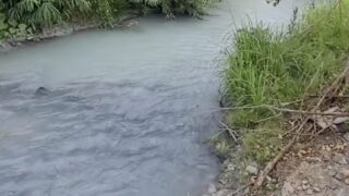 В Жамбылской области в государственную собственность возвращено 50 га земель водного фонда