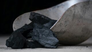 Тепличным хозяйствам Туркестанской области поставят 150 тысяч тонн угля