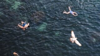 Упражнения, которые сжигают до 400 калорий за полчаса