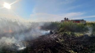 В Абайской области снова возгорается сухая трава