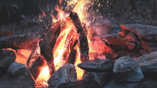 В ДЧС ВКО попросили жителей воздержаться от посещения леса