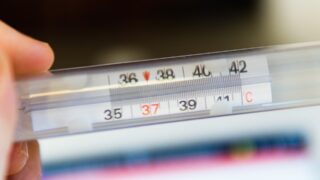 В Египте появились случаи неизвестного схожего с лихорадкой денге заболевания