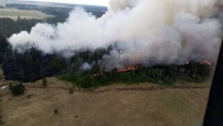В лесничестве «Ертыс Орманы» продолжается тушение пожара